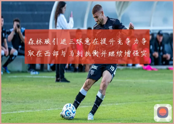 森林狼引进三球意在提升竞争力争取在西部与马刺抗衡并继续增强实力